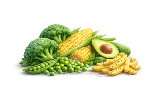 VERDURAS CONGELADAS