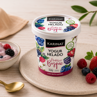 YOGUR HELADO DE FRUTOS DEL BOSQUE GRANDE (320gr)